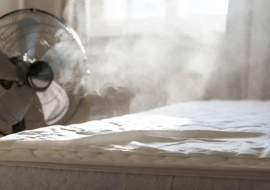 تشک تخت نجس